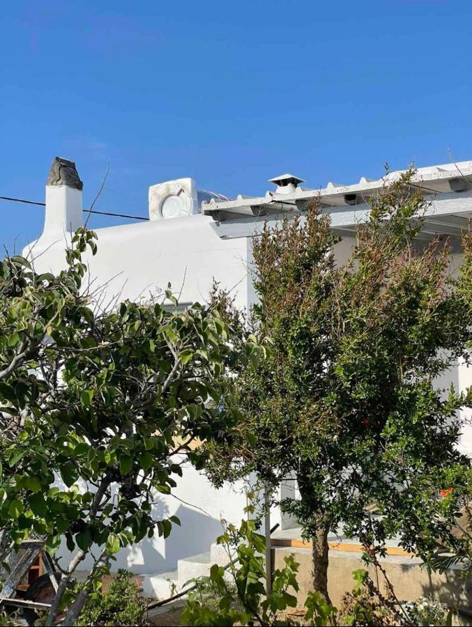 Apartmán Alesta Mykonos Town Exteriér fotografie