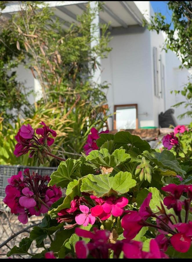 Apartmán Alesta Mykonos Town Exteriér fotografie