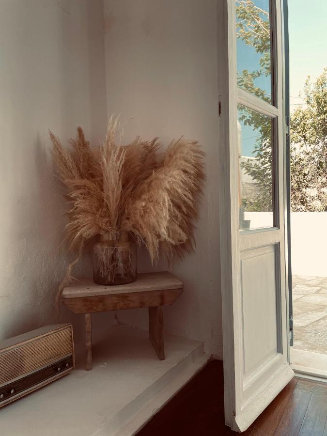 Apartmán Alesta Mykonos Town Exteriér fotografie